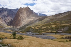 Zanskartrek