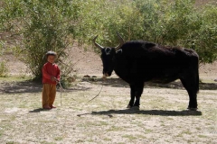 David gegen Goliath