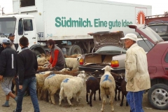 Morgens auf dem Viehmarkt. Die deutschen Lastwagen erleben hier ihren zweiten Frühling... Morgens auf dem Viehmarkt. Die deutschen Lastwagen erleben hier ihren zweiten Frühling...