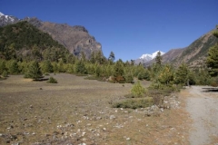 Landschaft vor Manang