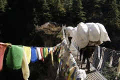 Leere Petflaschen werden nach Namche auf 3500m getragen um dort mit Wasser befüllt zu werden.