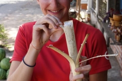 Süsses Klebereis im Bambusrohr verpackt